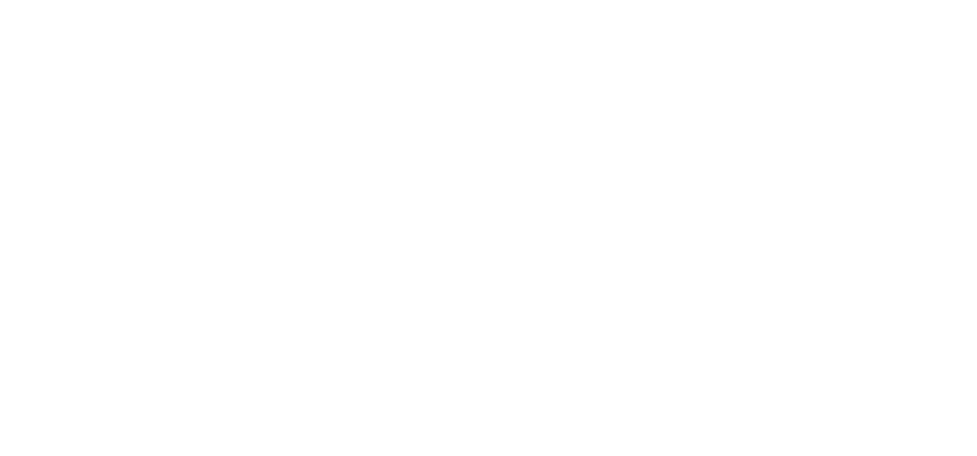 Logo AFO Group