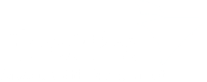 Logo FleetPro