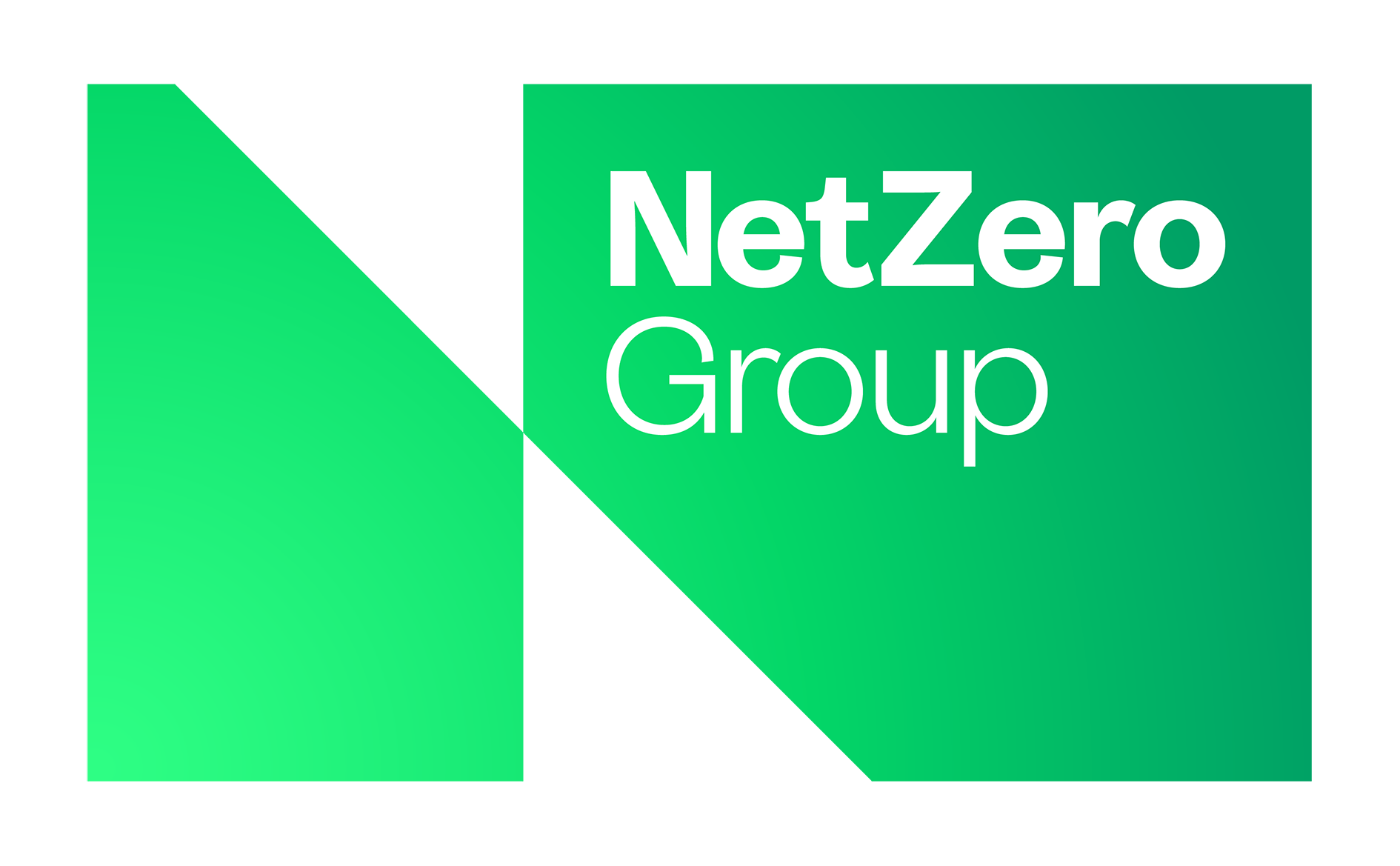 Logo NetZero