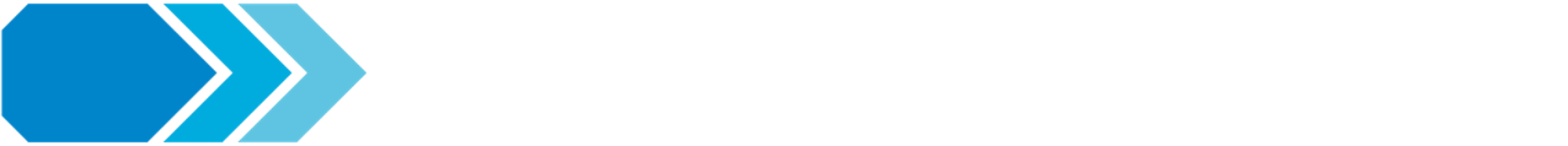Logo Netconomy